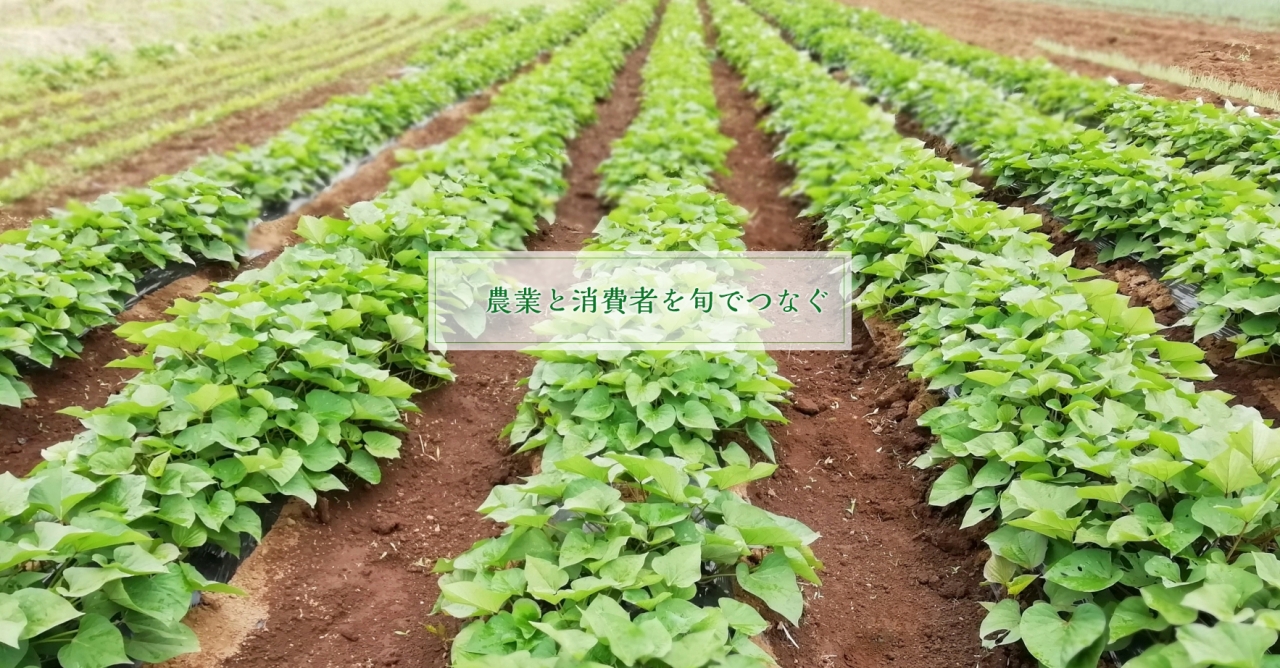 農業と消費者を旬でつなぐ 農業と消費者を旬でつなぐ
